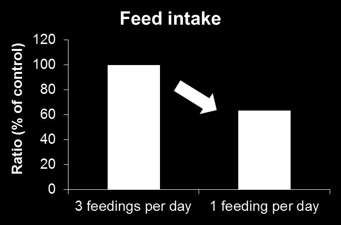 Índice (% de control) Frecuencia de alimentación Ingesta / Consumo Alimentación restringida, el consumo decrece 37% 3