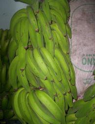 10 Cómo podemos vender mejor nuestros bananos?