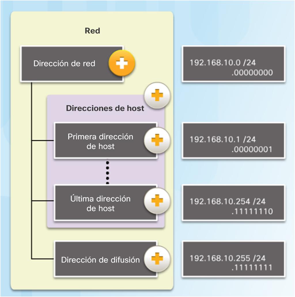 Estructura de una dirección IPv4 Direcciones de red, host y difusión Tipos de direcciones en la red 192.168.10.0/24 Dirección de red: la porción de host se compone de todos ceros (.