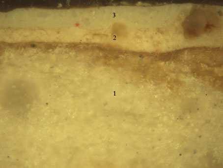 Figura III.2.6. Microfotografía obtenida al microscopio óptico con luz reflejada. Muestra: E55Q3 Aumentos: 200X Descripción: Carnación de color oscuro de la calva del Santo.