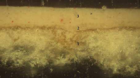 Figura III.2.8. Microfotografía obtenida al microscopio óptico con luz reflejada. Muestra: E55Q4 Aumentos: 200X Descripción: Carnación de la mano izquierda del Santo. ESTRATIGRAFÍA (Ver figura III.2.8 y figura III.