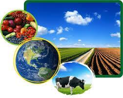 El desarrollo de la producción agrícola no tradicional dinamiza significativamente al sector agroindustrial alimentario y de exportación; en