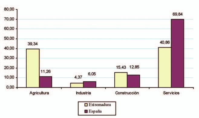 CAPÍTULO 2: MERCADO DE TRABAJO Y RELACIONES LABORALES rio en Extremadura tiene un peso casi idéntico al del sector de servicios en tanto que en España el sector agrario tiene un peso seis veces