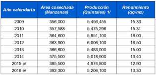 Área, producción y rendimiento Aspectos productivos Distribución de la producción a nivel nacional (%): Porcentaje de producción en qq (Coffea arabica L.) a1/ Se refiere a café oro.