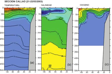 11a), tal vez presionadas por las ACF ascendentes. Fue notoria la presencia de ASS hasta 40 mn de la costa, a profundidades mayores a 70 m, y valores de mezcla entre ACF y ASS cerca de la costa (Fig.