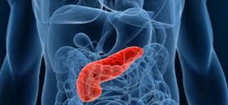 Inmunoterapia en tumores digestivos no colorrectales Cáncer de páncreas Inmunoresistente : Escasa carga mutacional e