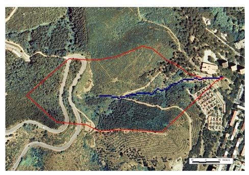 Este análisis se ha desarrollado con el uso de la fotografía aérea ya que la cartografía de usos del suelo del ICC no presenta información suficiente.