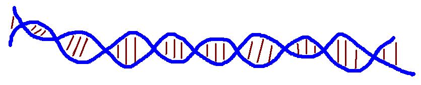 RETROTRANSCRIPCION TRANSCRIPCION PASO de ADN a ARN Es lo