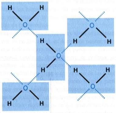 AGUA: Enlaces puente de hidrógeno Un enlace por puente de hidrógeno se efectúa entre un átomo electronegativo y el átomo de hidrogeno unido covalentemente a otro átomo electronegativo.
