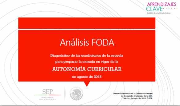 25. En plenaria, revisen la presentación Análisis FODA, enfaticen las definiciones generales y los pasos