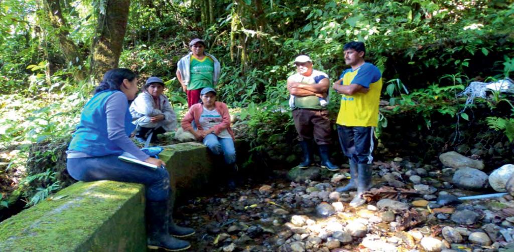 Proyecto 7 Trabajamos para cuidar el agua Inventario y manejo hídrico participativo Ubicación Pastaza Inversión USD 3,5 millones