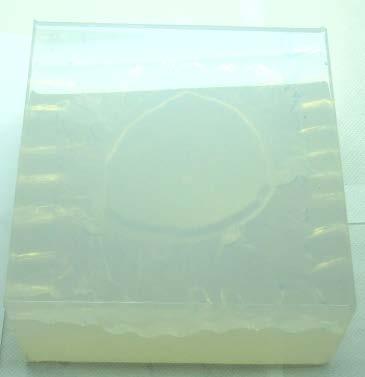 Se vierte la silicona en la cavidad de la caja donde está la plastia y se pone al vacío para que desaparezcan las burbujas de aire.