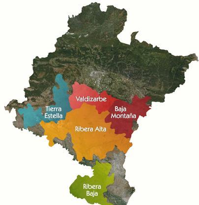 Antecedentes 40 Más del 70% del viñedo lo ocupan las variedades autóctonas (Garnacha, Tempranillo ), mientras que el 30% restante está compuesto por variedades internacionales ampliamente extendidas