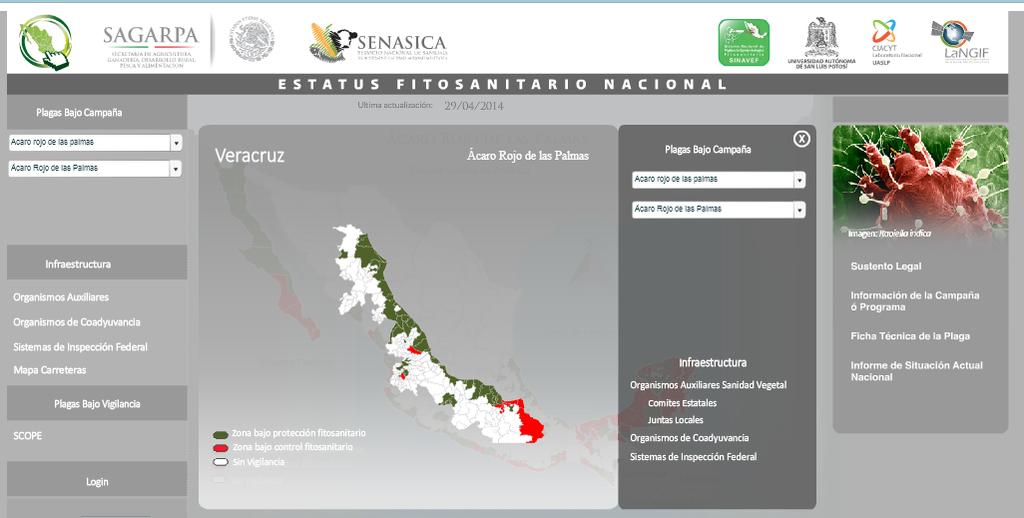 Situación Fitosanitaria Al mes de enero de 215, Raoiella indica se encuentra presente en los municipios de Agua Dulce, Coatzacoalcos, Cosoleacaque, la superficie total de estos municipios afectada