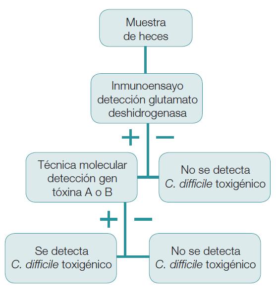 Algoritmo diagnóstico de 2 pasos Pool Xpert Cdiff GDH- (AMM) Alcalá y col.