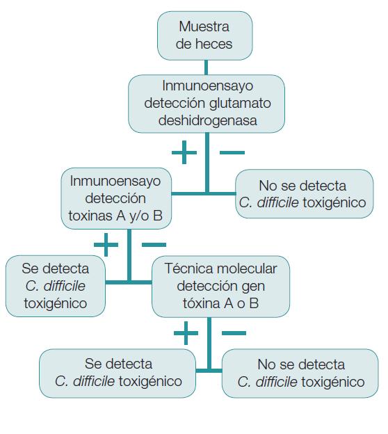 Algoritmo diagnóstico de 3 pasos Alcalá y col.