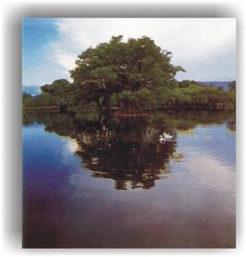 PRINCIPALES LAGOS DE MÉXICO 12 (Medias históricas) Lago Area (km 2 ) Volumen medio