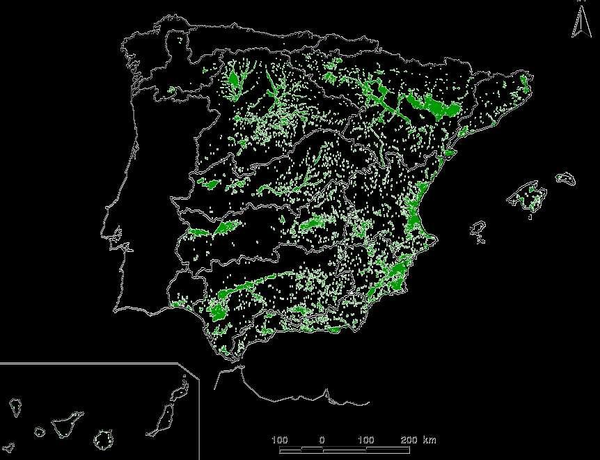2.-LA IMPORTANCIA ESTRATÉGICA DEL REGADÍO PARA ESPAÑA 3,6 millones de hectáreas en regadío (15% SAU y 21% de