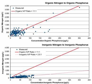 UPM Pulp Mill, Water Quality Assessment, Part E, Water Quality Model SECTION 2.0 WATER QUALITY MODEL Figure 2-8: Comparison of Organic and Inorganic Nitrogen and Phosphorus 2.1.