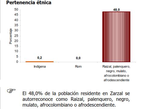 conserva hasta hoy. En cuanto a la pertenencia étnica el 48% refiere ser palenquero o afrocolombiano y solo el 0.