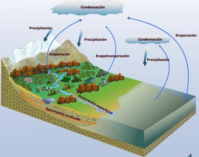 CICLO HIDROLÓGICO Para Sánchez San Román (2001), se denomina Ciclo Hidrológico al movimiento general del agua, ascendente por evapotranspiración y descendente primero por las precipitaciones y