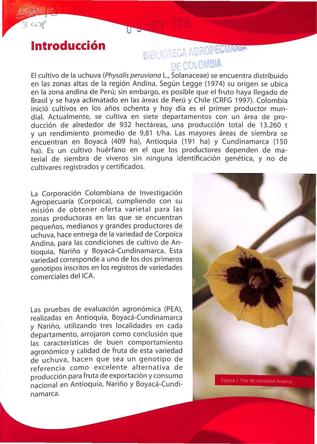 Introducción - - '- El cultivo de la uchuva (Physolis peruviana L., Solanaceae) se encuentra distribuido en las zo nas altas de la región Andina.