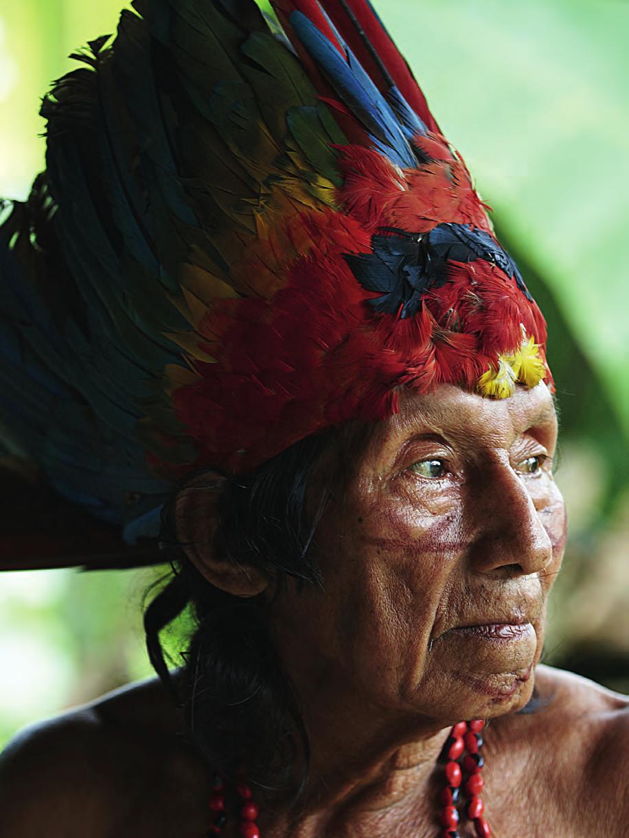 La contribución de los Pueblos Indígenas Amazónicos es vital para la estabilidad del clima mundial Proyecto