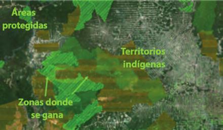 El equipo técnico del proyecto va a analizar las tendencias de pérdida de biomasa forestal a lo largo de un periodo de casi 20 años, dentro y fuera de los Territorios Indígenas y su relación con la