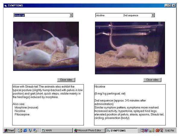 Características del programa de Microlab Conducta Clickeando behaviour, se presentaran dos módulos: Sintomatología lab Animales, y ratones reloj pueden ser seleccionados.