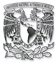 UNIVERSIDAD NACIONAL AUTÓNOMA DE MÉXICO FACULTAD DE FILOSOFÍA Y LETRAS PLAN DE ESTUDIOS DE LA LICENCIATURA EN BIBLIOTECOLOGÍA Y ESTUDIOS DE LA INFORMACIÓN Programa de la asignatura Denominación: