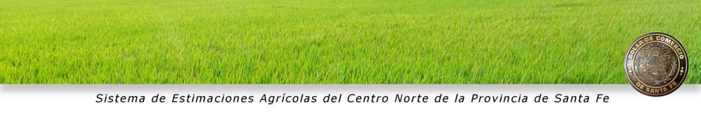 INFORME DE LA BOLSA DE COMERCIO DE SANTA FE Sistema de Estimaciones Agrícolas del Centro - Norte