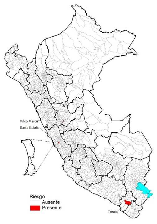 De Carrión Lugar probable de infección Departamento Provincia Distrito 49 50 51 52 1 2 3 Huanuco Huanuco Pillco Marca 1 No reporta casos años anteriores,