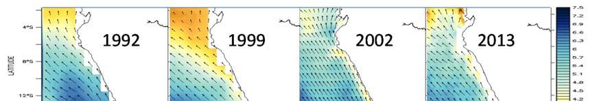 El verano del 2013 a pesar de los pulsos cálidos (periodos cortos) en la zona costera predominaron condiciones frías similares a las ocurridas en el verano de 1999. Figura 55.