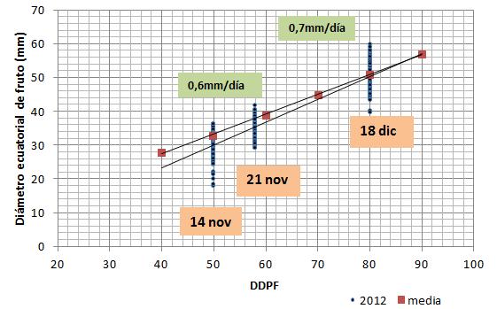 La temperatura regula también la tasa o velocidad de crecimiento de los frutos, aproximadamente a partir de los 6 DDPF hasta cosecha, pero si bien estas tasas pueden ser adecuadas solo manifestaran