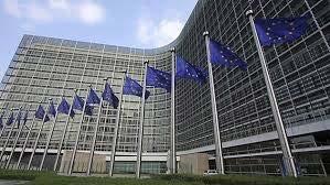 Estrategia europea para la EC JULIO 2014 :La