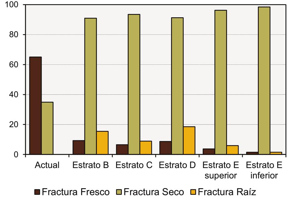 APA Publicación Electrónica - 2016 -Volumen 16(1): 14 51 No se identificaron fracturas con rasgos de corrosión digestiva.
