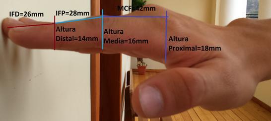 6 M. YÉPEZ Diseño de los dedos Para esto se basó el diseño de los dedos en las medidas antropométricas aproximadas del sujeto de estudio como se muestra en la figura 11.
