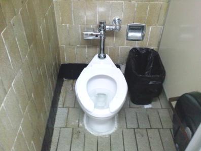 En 2009 también se determinaron las especificaciones de muebles de baño (mingitorios, excusados, llaves de lavabo y regaderas) con características de ahorro de agua que debe comprar la UNAM.