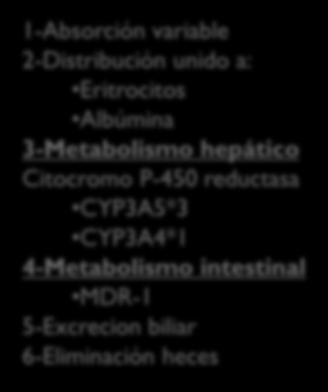 Albúmina 3-Metabolismo hepático Citocromo P-450 reductasa