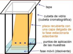 Cromatografía en Capa Fina (TLC) CROMATOGRAFÍA PLANA Tipos de cromatografía Fase estacionaria Gel de sílice, celulosa, alúmina depositado sobre un soporte plano (lámina de aluminio o plástico) Fase