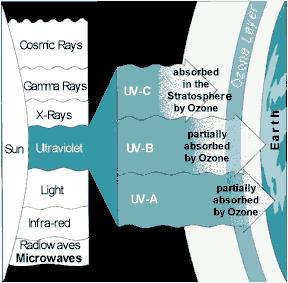 Capa de Ozono Ozono gas Formación de la capa
