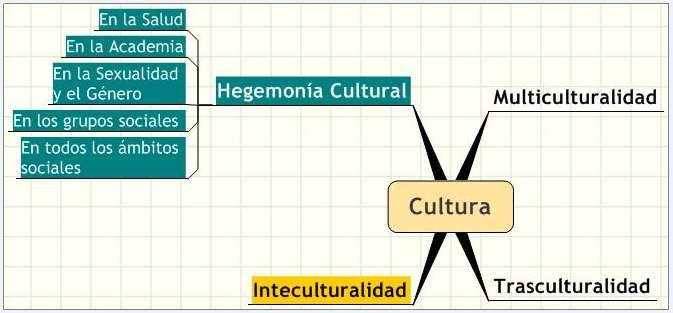 Tres vertientes e interpretaciones de la interculturalidad en Salud: Para la difusión de los programas de salud con inclusión terminológica (Un toque cultural a
