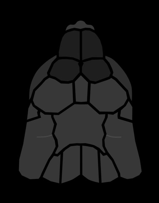 Es la más pequeña de las tórtugas marinas, cón una lóngitud de caparazón de hasta 70 cm y pesós de entre 5 y