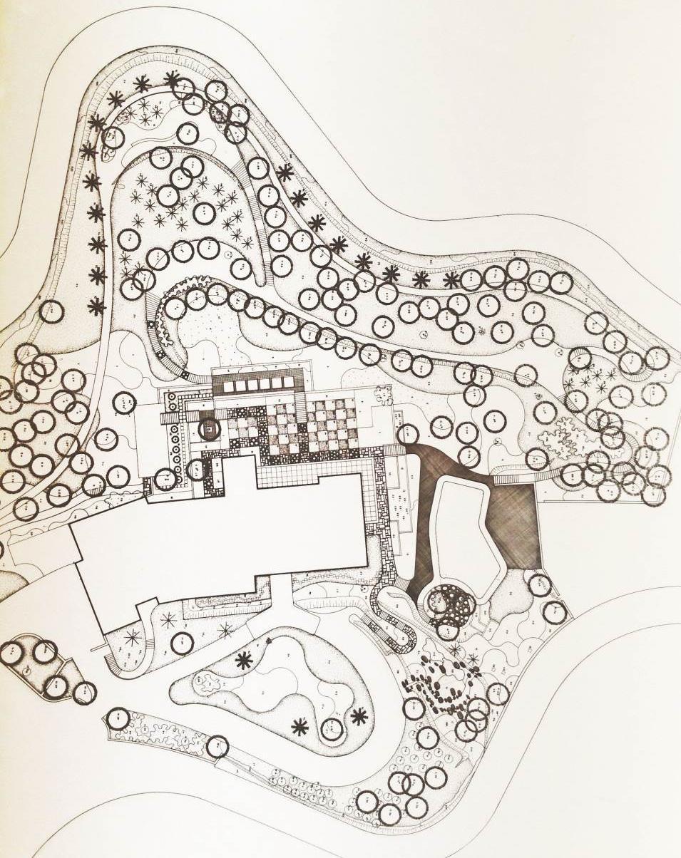 En la perspectiva que dibujó Burle Marx con la propuesta del jardín para Palacios se puede observar que el concepto es una colina arbolada de grupos homogéneos de especies de árboles, arbustos y