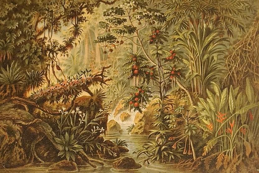 La tropicalización del jardín la vuelta a la flora tropical Una de las características relevantes en la obra de Burle Marx es el uso de la flora tropical local de Brasil.