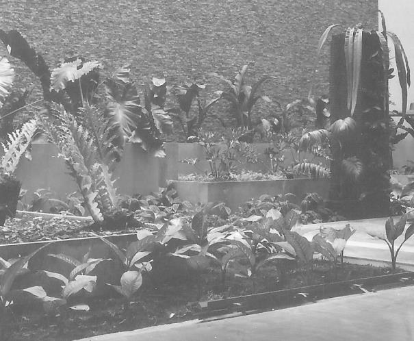 Eran como agrupaciones artificiales de plantas, que forman parte de su método. Figura 55. Caída de agua de la Casa Palacios. Archivo: John Stoddart.
