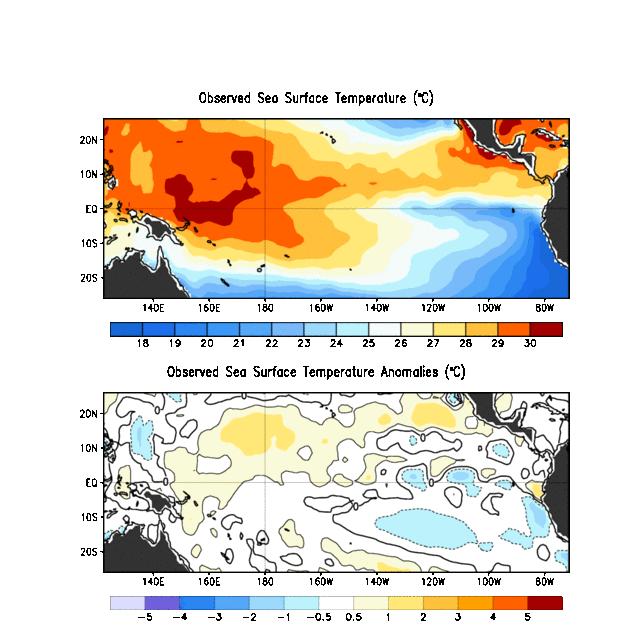 Condición actual de ENOS Temperatura media observada 5 de Agosto - 11 de Agosto 2018 En el Océano Pacífico ecuatorial oriental se
