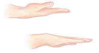 Baje y repita el ejercicio con cada articulación del dedo. Flexión y extensión de la muñeca 1. Extienda la mano abierta con el antebrazo apoyado sobre una mesa u otra superficie firme.