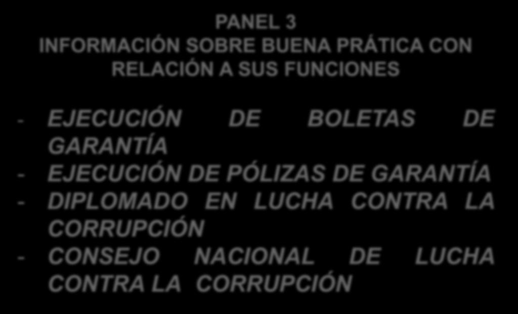 PANEL 3 INFORMACIÓN SOBRE BUENA PRÁTICA CON RELACIÓN A SUS FUNCIONES - EJECUCIÓN DE BOLETAS DE GARANTÍA -