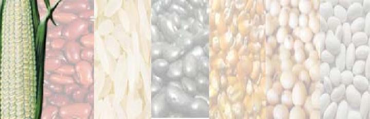 marzo de, ha mostrado una relativa estabilidad. Con excepción de frijol negro, los precios de los demás granos (maíz blanco, frijol rojo, arroz y sorgo), presentan leves fluctuaciones.